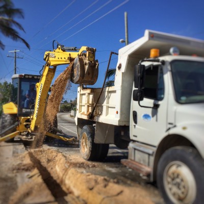 Planned Works on Ms Frances Street